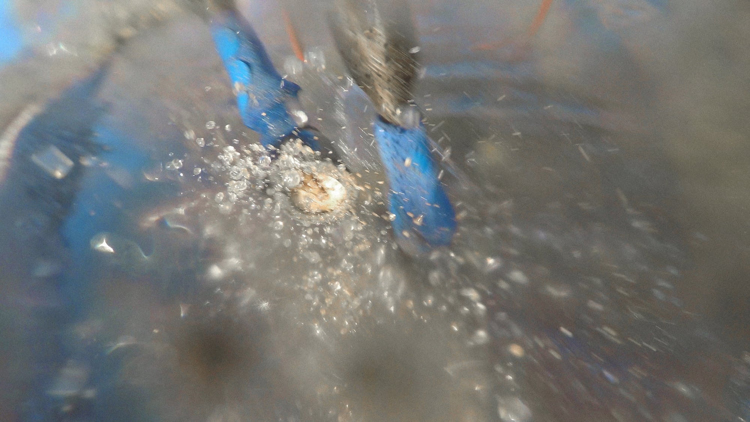 Squeegees On Ice